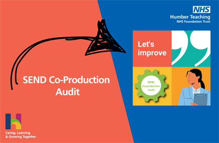 SEND Co Production Audit