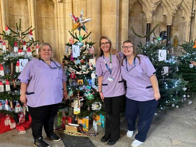 A Christmas Tree on display at the Beverley Minster Christmas Tree Festival