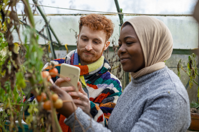 a man and a woman are using a smartphone to take a close-up photograph of some tomato plants